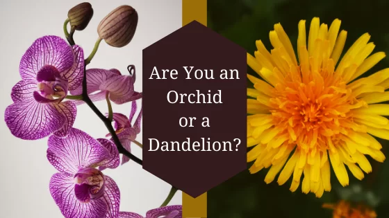 When It Comes to Speaking, Are You an “Orchid” or a “Dandelion?”