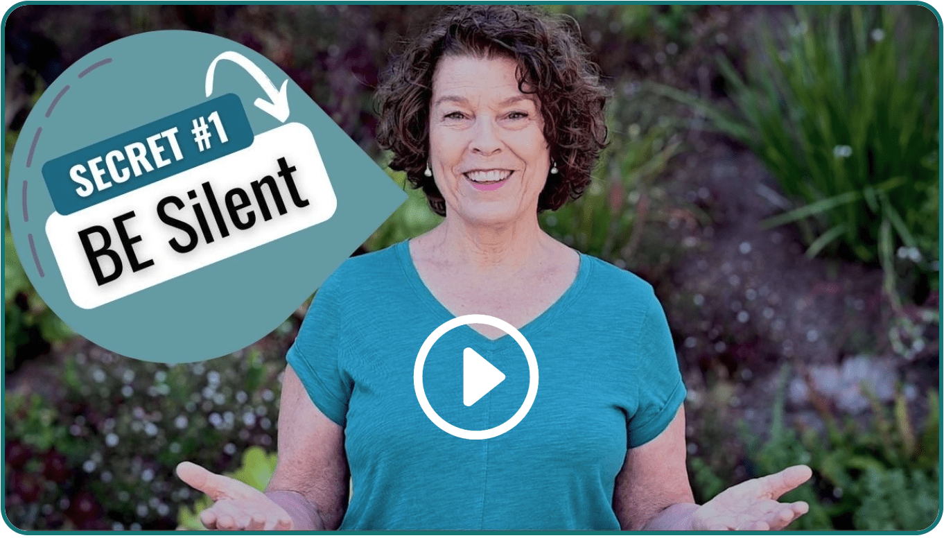 secret 1 be silent video series