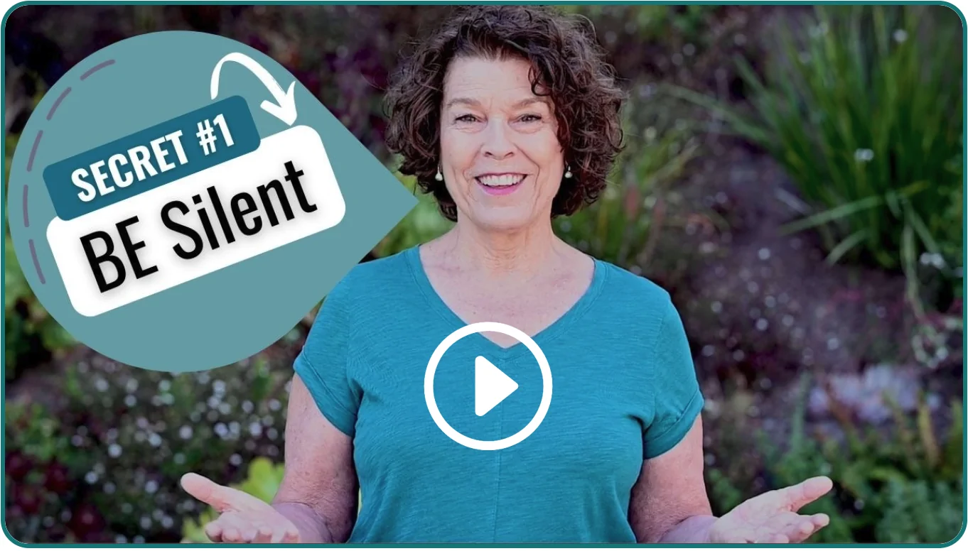 secret 1 be silent video series